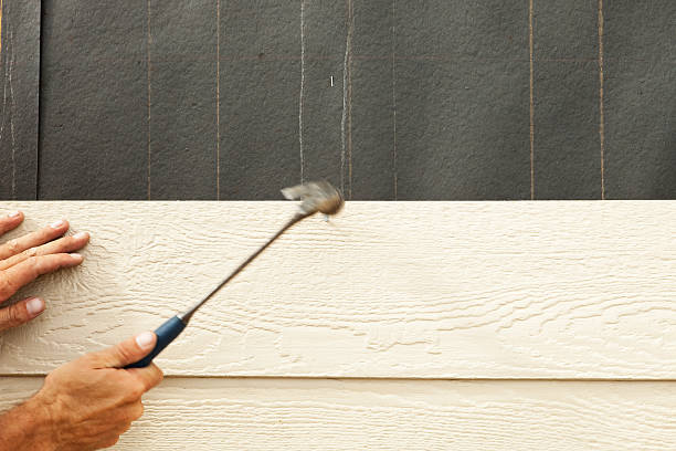 Best Engineered Wood Siding  in Gridley, IL